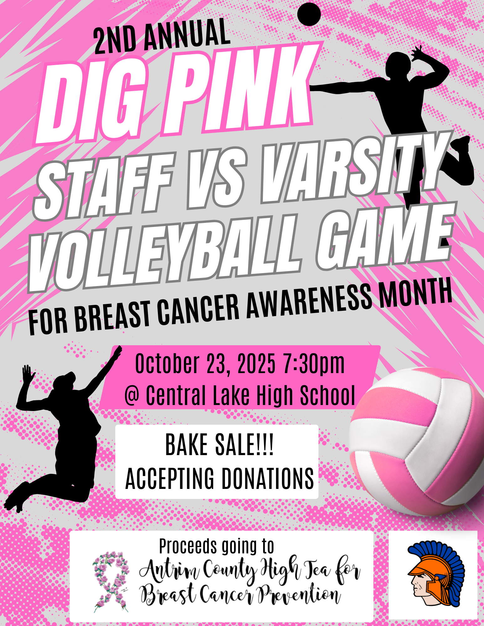 Dig Pink Volleyball Game